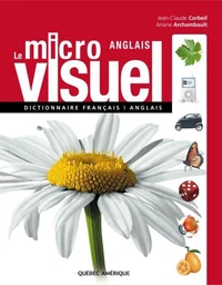 Le micro visuel anglais
