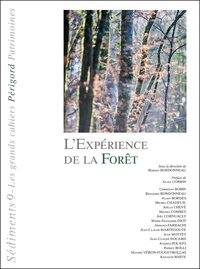 L'experience de la foret - sediment 9