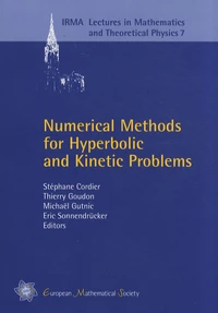 Numerical Methods for Hyperbolic and Kinetic Problems