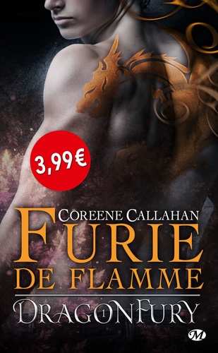 Dragonfury Tome 1 Furie de flamme - Occasion