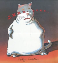 Zzzz... zzzz....