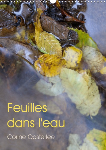 CALVENDO Nature  Feuilles dans l'eau (Calendrier mural 2020 DIN A3 vertical). Eclats de lumière sur les feuilles inondées (Calendrier mensuel, 14 Pages )