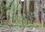 CALVENDO Nature  Orchidées du Périgord (Calendrier mural 2020 DIN A4 horizontal). Belles et fragiles fleurs sauvages (Calendrier mensuel, 14 Pages )