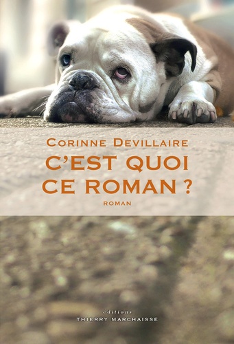 Corinne Devillaire - C'est quoi ce roman ?.