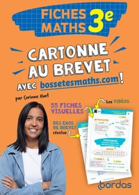 Cartonne au brevet avec bossetesmaths.com ! Fiches Maths 3e