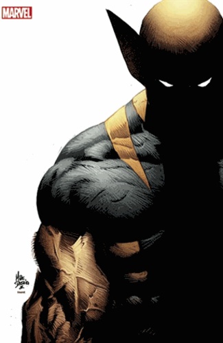  Cornell - Wolverine 2013 20 variant cover.