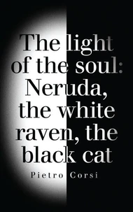 the light of the soul