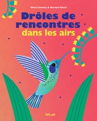 Drôles de rencontres dans les airs