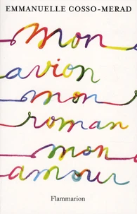 Mon avion, mon roman, mon amour