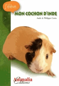 Mon cochon d'Inde