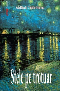 Stele  pe trotuar