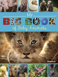 My Big Book of Baby Animals