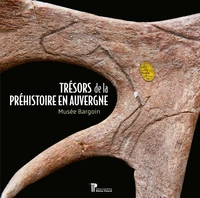 Trésors de la Préhistoire en Auvergne