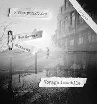 Haikupunkture - voyage immobile