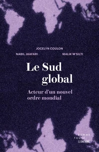 Le Sud global
