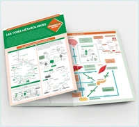 Les voies métaboliques
