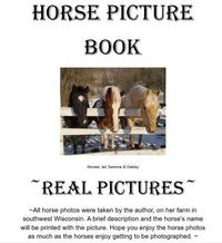 Horses Picture Book