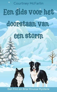 Een gids voor het doorstaan van een storm