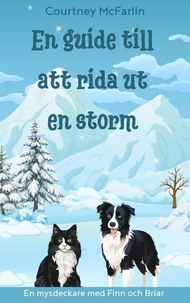 En guide till att rida ut en storm