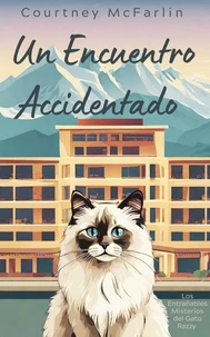 Un Encuentro Accidentado