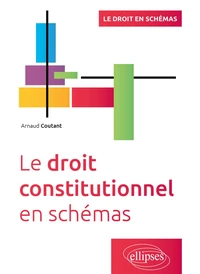 Le droit constitutionnel en schémas