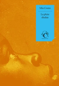 La pluie ébahie