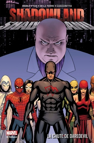 Couverture : Shadowland : le chute de Daredevil