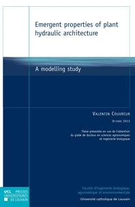 Emergent properties of plant hydraulic architecture