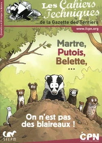 Martre, putois, belette... On n'est pas des blaireaux !