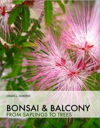 Bonsai and Balcony - from saplings to trees