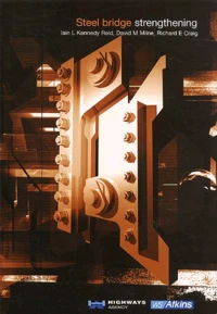 Steel Bridge Strengthening. A Study Of Assessment And Strengthening Experience And Identification Of Solutions