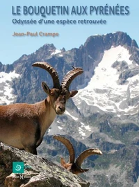 Le bouquetin aux Pyrénées