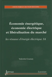 Economie énergétique, économie électrique et libéralisation du marché