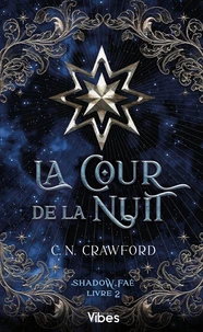 La cour de la nuit