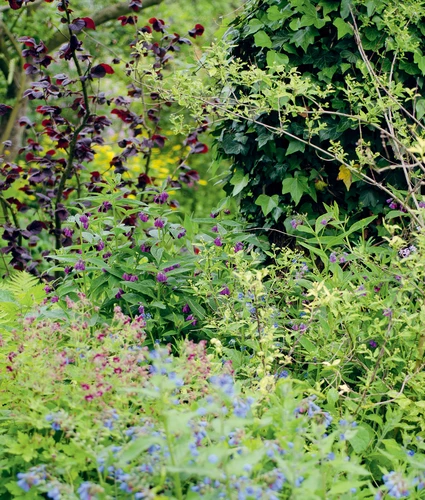 Livre Jacques Piquée – Les Plantes Mellifères Mois Par Mois – Ulmer 2014