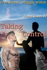 Taking Control Eternal Flames 15