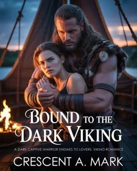 Bound to the Dark Viking