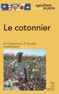 Le cotonnier