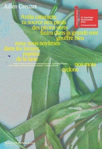 Attila cataracte ta source aux pieds des pitons verts finira dans la grande mer gouffre bleu nous nous noyâmes dans les larmes marées de la lune
