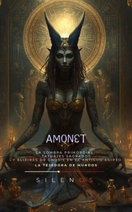 AMONET: La Sombra Primordial