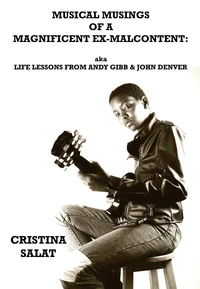 Musical Musings of a Magnificent Ex-Malcontent: aka Life Lessons from Andy Gibb &amp; John Denver
