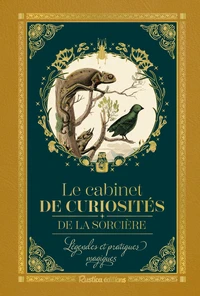 Petit précieux Cabinet de curiosités de la sorcière. Légendes et pratiques magiques