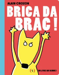 Brica da brac !