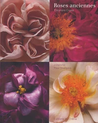 Roses anciennes & botaniques