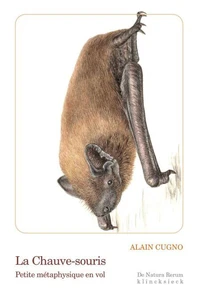 La chauve-souris