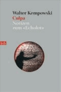 Culpa - Notizen zum "Echolot".