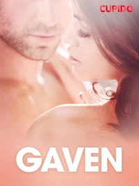 Gaven - erotiske noveller