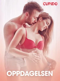 Oppdagelsen - erotiske noveller