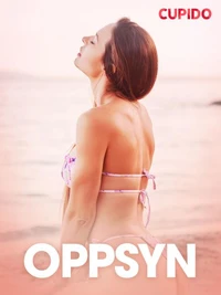Oppsyn – erotisk novelle
