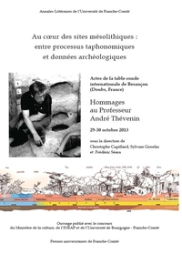 Au coeur des sites mésolithiques : entre processus taphonomiques et données archéologiques